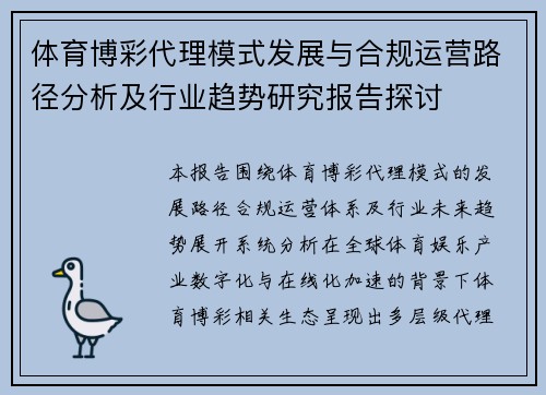 体育博彩代理模式发展与合规运营路径分析及行业趋势研究报告探讨 体育博彩代理模式发展与合规运营路径分析及行业趋势研究报告探讨