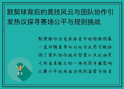 默契球背后的竞技风云与团队协作引发热议探寻赛场公平与规则挑战 默契球背后的竞技风云与团队协作引发热议探寻赛场公平与规则挑战